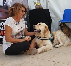 Accessoires pour chien à Aix en Provence – Madame promène son chien