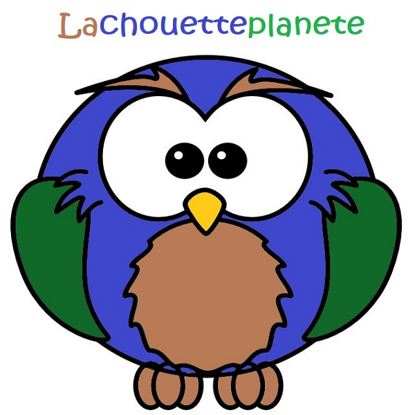 Bougie Auriculaire - LaChouettePlanete