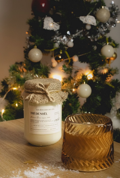 10 Graine LED Guirlande Lumineuse Vine Vase Pot Verre Décor Mariage Noël  Fête Blanc Chaud - Cdiscount Maison