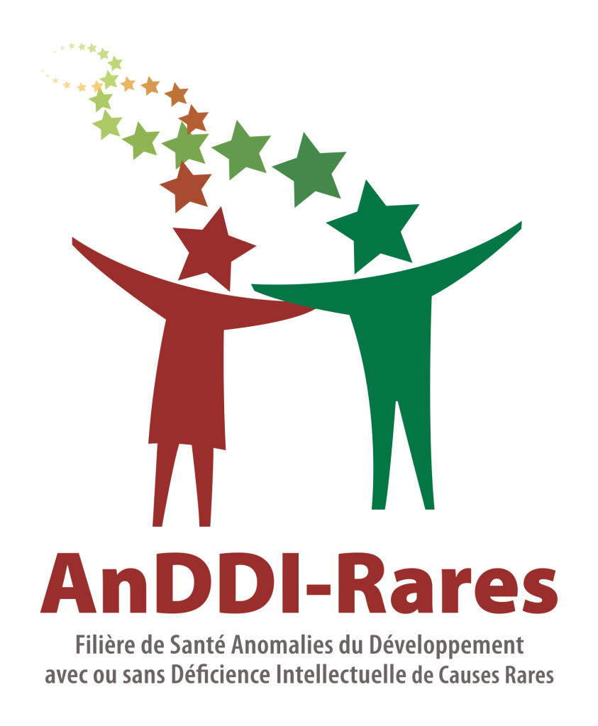 LOGO ANDDIRARES